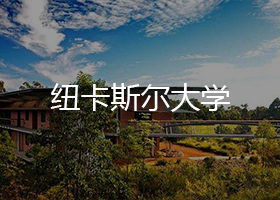 紐卡斯?fàn)柎髮W(xué)